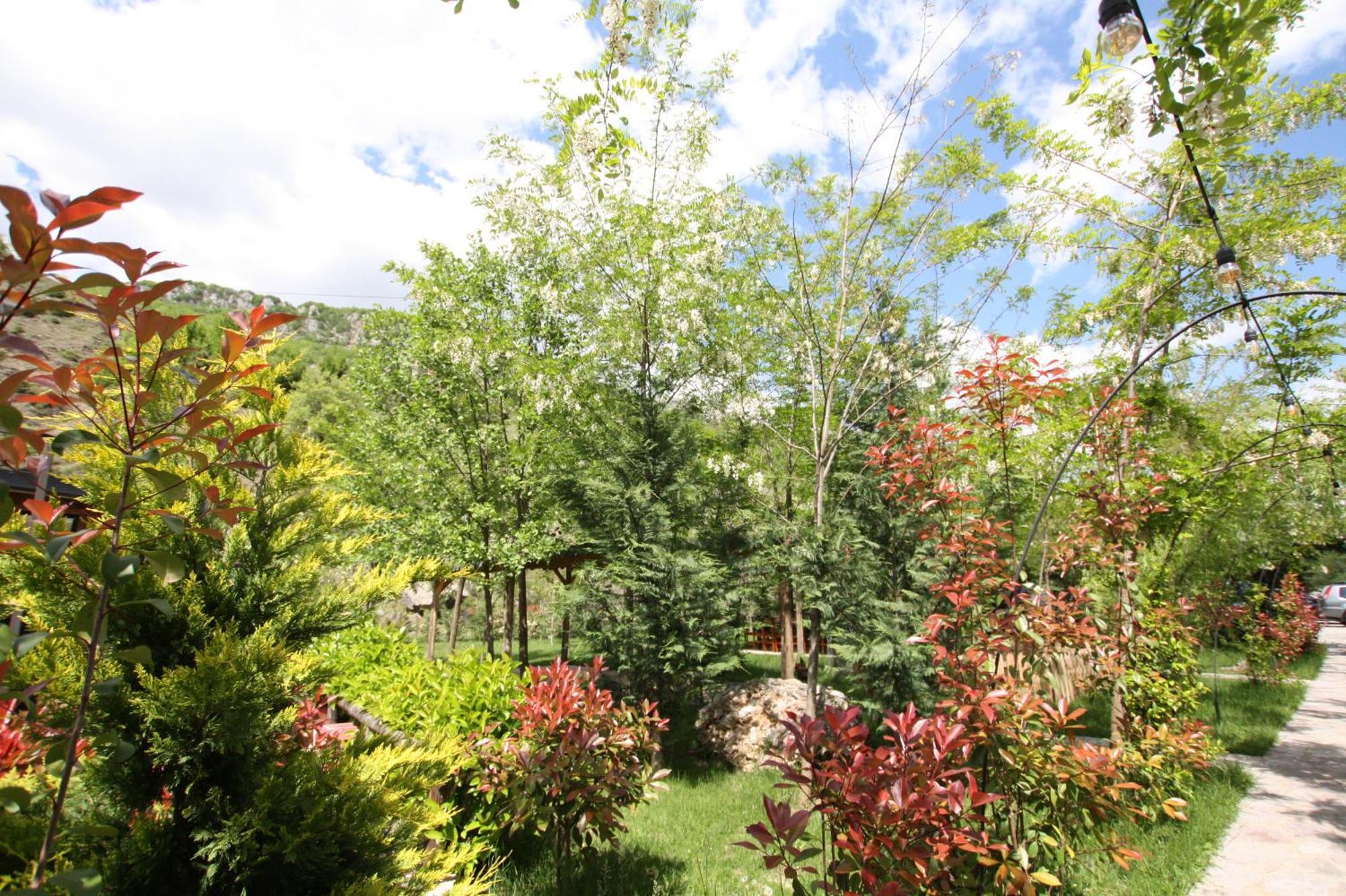 Villa Lugina E Shengjergjit ,Bujtinat Tirana Exterior foto