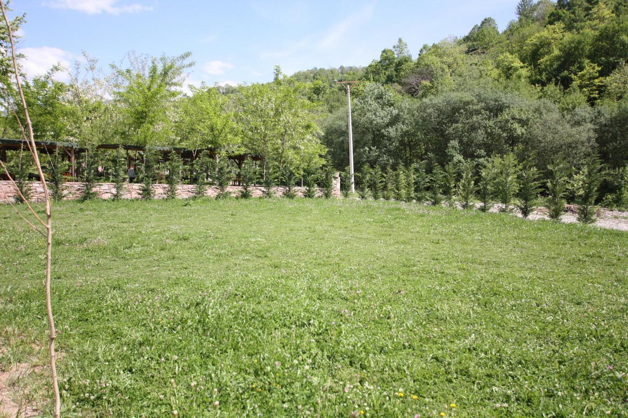 Villa Lugina E Shengjergjit ,Bujtinat Tirana Exterior foto